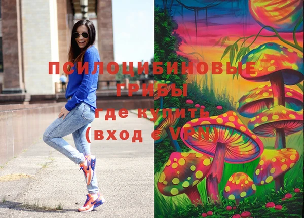 дурь Арсеньев