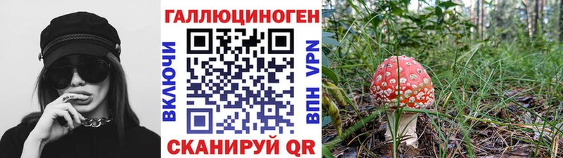 Псилоцибиновые грибы Magic Shrooms  Суворов 